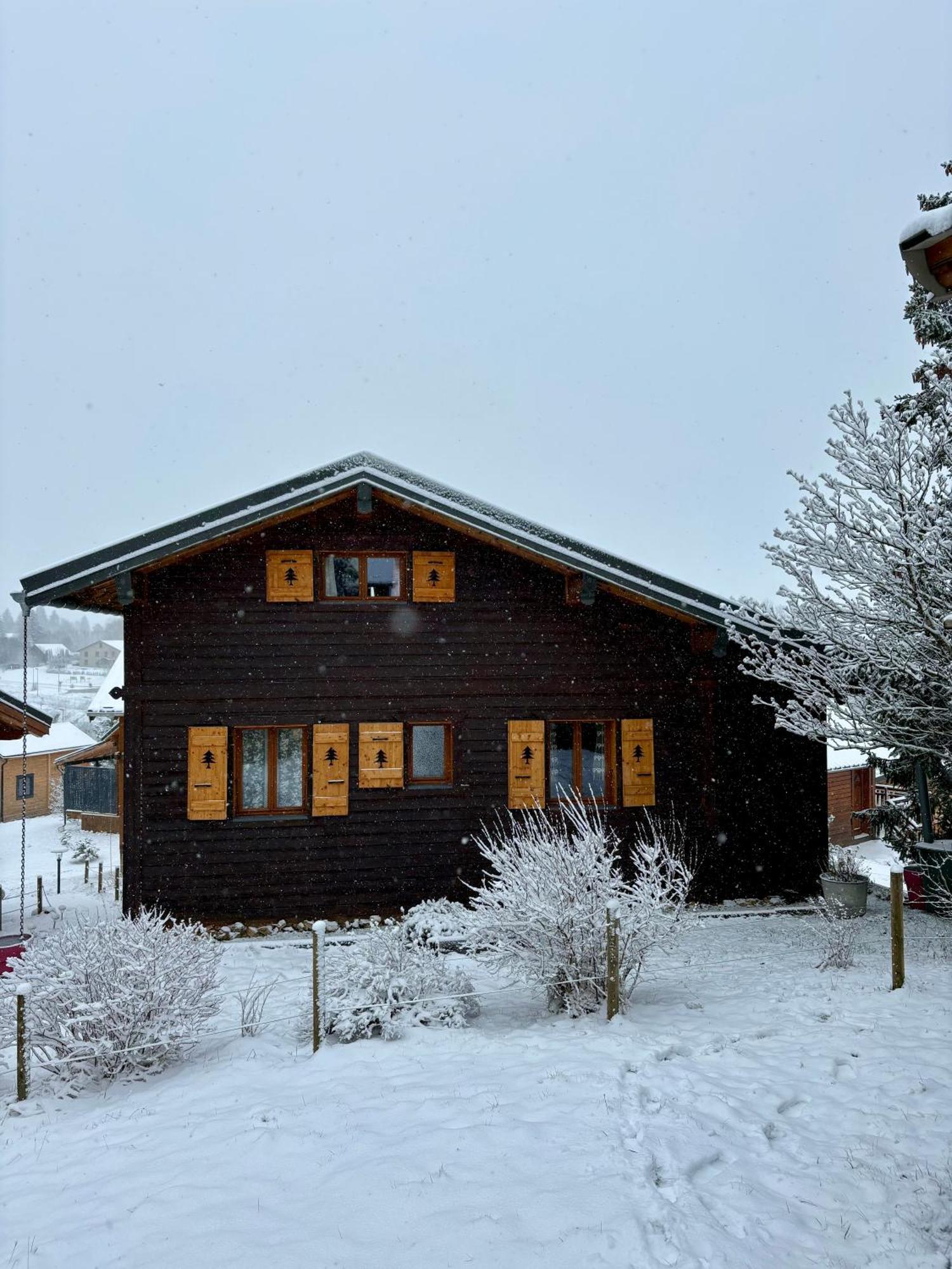 Chalet L'Embellie - Chalet Avec Piscine Partagee Saint-Laurent-en-Grandvaux Zewnętrze zdjęcie